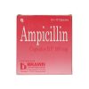 Ampicillin - Nhà thuốc Thục Anh