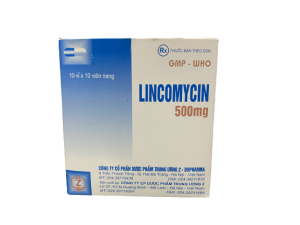 Thuốc Lincomycin 500mg Trung Ương 2