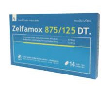 Thuốc Zelfamox 875/125 DT.